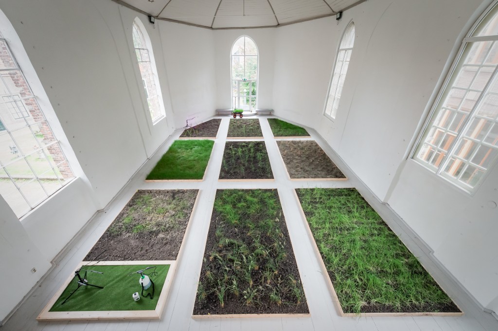 Green, green - grass!
HMK 2025, foto: Bart Treuren